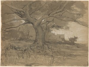森の端にある大きなブナの木 作： Adolphe Appian