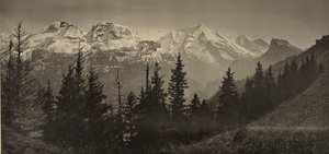  作： Adolphe Braun