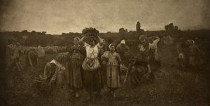 清掃員を呼ぶ 作： Adolphe Braun