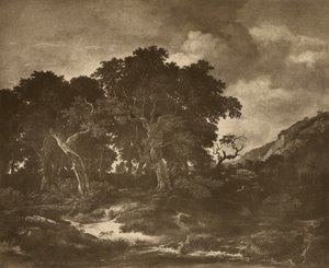 ルイスダールの風景画 作： Adolphe Braun