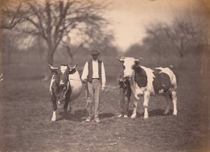 風景,c.1864年（写真） 作： アドルフ・ブラウン