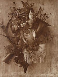 キジとライチョウ、カリフォルニア州。 1865年。
