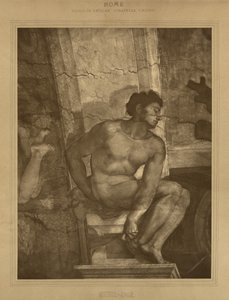  作： Adolphe Braun