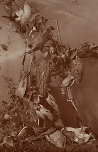 [スティル・ライフ：デッド・ゲーム］ 作： Adolphe Braun