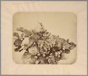 マルメロとベリーの静物画 作： Adolphe Braun