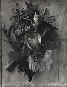 狩りのトロフィーc。 1867年。 作： Adolphe Braun