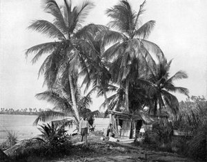 ブルーホール、ジャマイカ、ポートアントニオ、c1905への道。