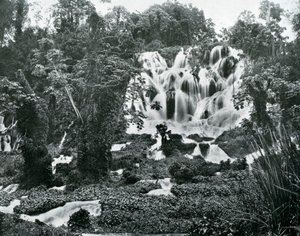 轟音リバーフォールズ、ジャマイカ、c1905。 作： Adolphe Duperly and Son