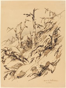 枯れ木と枯れ木がある岩だらけの丘の中腹 作： Adolphe Etienne Viollet Le Duc II
