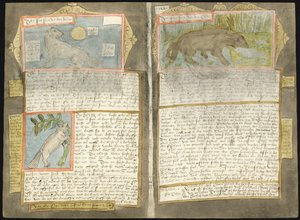Adriaen CoenenのVisboeck 作： Adriaen Coenen