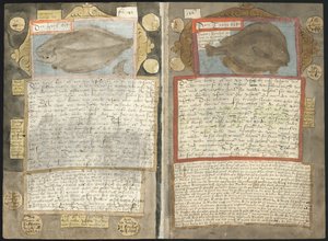 Adriaen CoenenのVisboeck 作： Adriaen Coenen