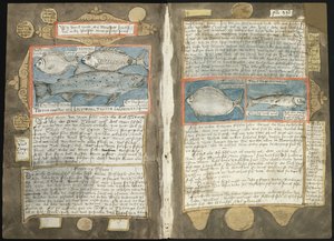 Adriaen CoenenのVisboeck - KB 78 E 54 - フォリオ339v（左）と340r（右）。 作： Adriaen Coenen