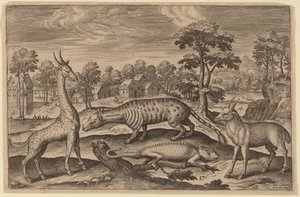 キリン、カメレオン、ジャコウネコ、カモシカ 作： Adriaen Collaert