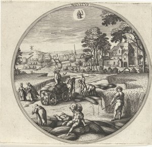 8月 Avgvstvs (オブジェクトのタイトル) The Twelve Months (シリーズタイトル) 作： Adriaen Collaert