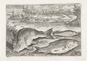 岸辺に 3 匹の鯉 釣り（連載タイトル） Piscium v​​ivae アイコン (シリーズ タイトル)