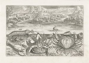 ビーチでいくつかの甲殻類 釣り（連載タイトル） Piscium v​​ivae アイコン (シリーズ タイトル) 作： Adriaen Collaert