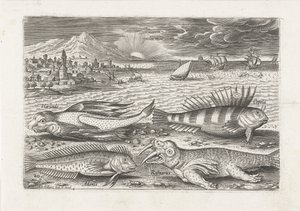 ビーチでいくつかの魚とセイウチ 釣り（連載タイトル） Piscivm vivae アイコン (シリーズ タイトル)