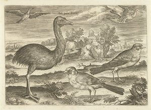 風景の中のいくつかの鳥 鳥（シリーズタイトル） Avium v​​ivae (シリーズタイトル) 作： Adriaen Collaert