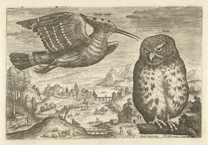 風景の中のいくつかの鳥 鳥（シリーズタイトル） Avium v​​ivae (シリーズタイトル) 作： Adriaen Collaert