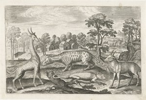エキゾチックな動物 四つ足の動物（シリーズタイトル） Animalivm Qvaddrvpedvm (シリーズタイトル) 作： Adriaen Collaert