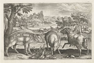 ヤギとイノシシ 四つ足の動物（シリーズタイトル） Animalivm Qvaddrvpedvm (シリーズタイトル) 作： Adriaen Collaert