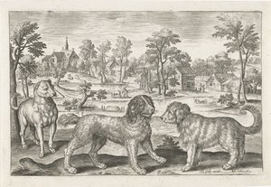 犬 四つ足の動物（シリーズタイトル） Animalivm Qvaddrvpedvm (シリーズタイトル) 作： Adriaen Collaert