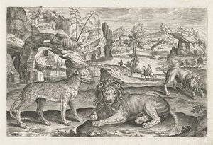 ライオンズとヒョウ 四つ足の動物（シリーズタイトル） Animalivm Qvaddrvpedvm (シリーズタイトル) 作： Adriaen Collaert