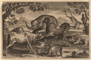 ライオン、ブル、キツネ、オオカミ、イヌ、ボーア、ヤギ、ウマ、ゾウ、シカ 作： Adriaen Collaert