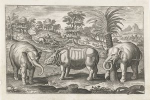 ゾウとサイ 四つ足の動物（シリーズタイトル） Animalivm Qvaddrvpedvm (シリーズタイトル) 作： Adriaen Collaert
