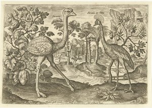 風景の中の 2 つのラタイト Avium Vivae (シリーズタイトル) 鳥（シリーズタイトル）