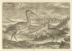 風景の中の 2 羽の鳥 鳥（シリーズタイトル） Avium v​​ivae (シリーズタイトル) 作： Adriaen Collaert