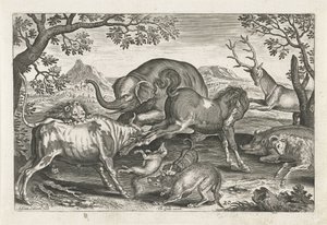 戦う動物 四つ足の動物（シリーズタイトル） Animalivm Qvaddrvpedvm (シリーズタイトル) 作： Adriaen Collaert