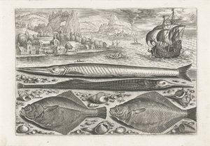 ビーチで 4 匹の魚 釣り（連載タイトル） Piscium v​​ivae アイコン (シリーズ タイトル) 作： Adriaen Collaert