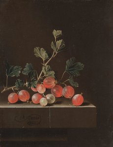 テーブルの上のグーズベリー（1701年