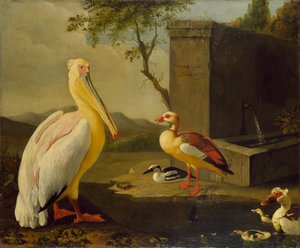 東洋の鳥、1683年 作： Adrian Coorte