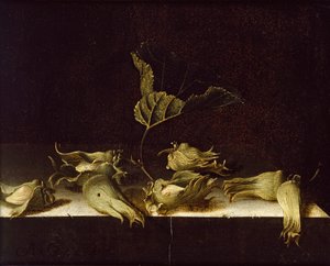 ヘーゼルナッツのある静物、1696 作： Adrian Coorte