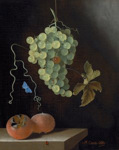 ぶら下がっているぶどうの房、2 つのメドラー、蝶のある静物 作： Adrian Coorte