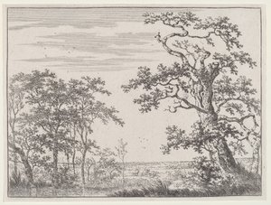 小川と古木のある風景 作： Adriaen Hendricks Verboom