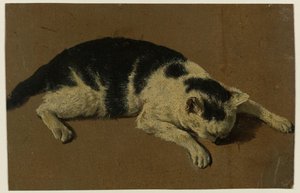 前足の間に頭を入れて横たわる猫