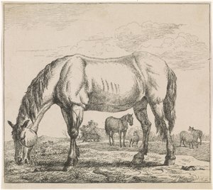 放牧馬 牛（シリーズタイトル） 作： Adriaen van de Velde