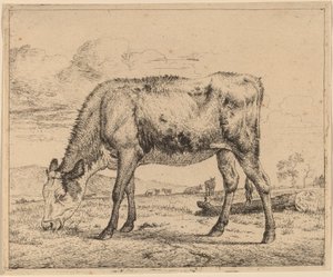 子牛の放牧 作： Adriaen van de Velde