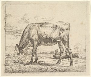 さまざまな動物の子牛の放牧、1658年。 作： Adriaen van de Velde