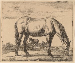 放牧馬 作： Adriaen van de Velde