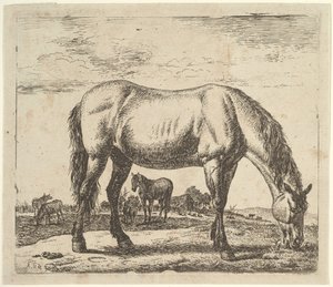 さまざまな動物からの放牧馬。 作： Adriaen van de Velde