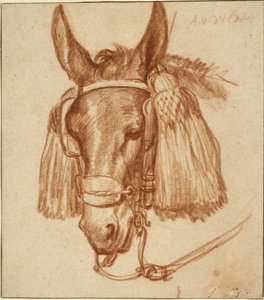 Kopf eines Esels mit Zaumzeug 作： Adriaen van de Velde