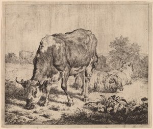 斑点のある雄牛と 3 匹の羊 作： Adriaen van de Velde