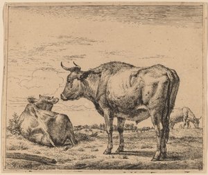 スタンディング・ブル 作： Adriaen van de Velde