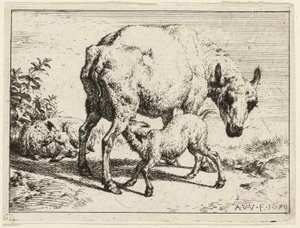子羊 作： Adriaen van de Velde