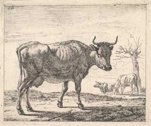 三頭の牛。 作： Adriaen van de Velde