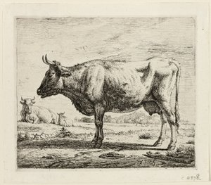 2頭の牛と1頭の羊 作： Adriaen van de Velde